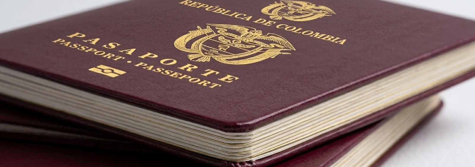 Porta Pasaportes